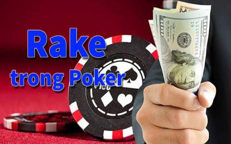 Rake trong Poker là gì? Ảnh hưởng của nó trong Poker - Sen88 net