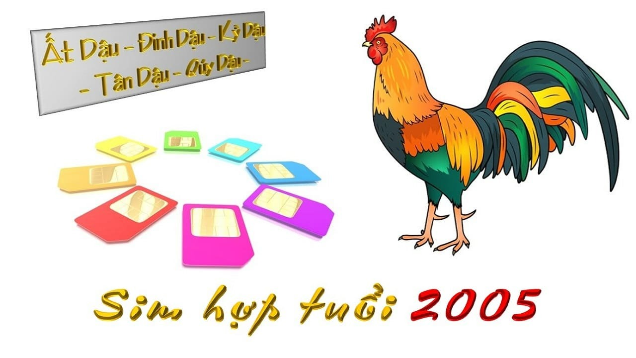 Tìm sim phong thuỷ hợp tuổi 2005 - Mua Sim